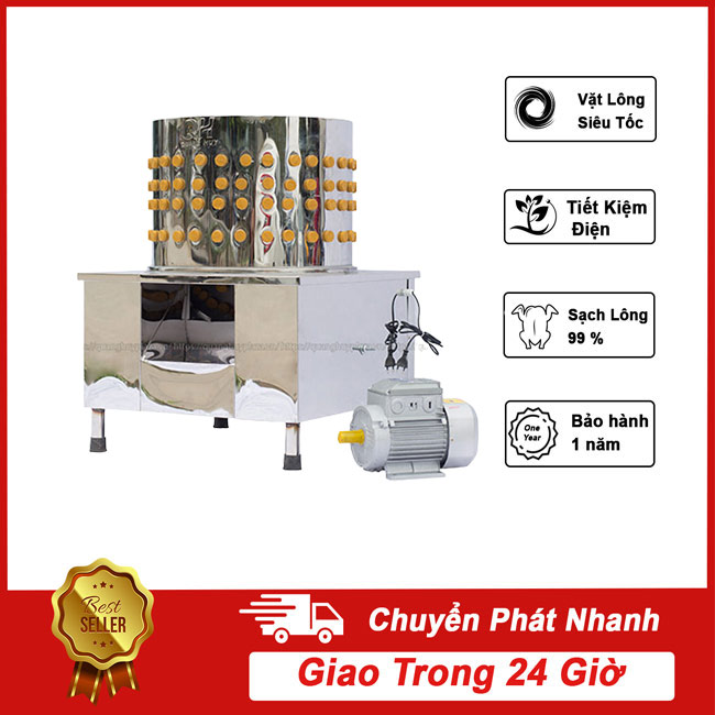 Máy vặt lông chim cút, bồ câu phi 55 vặt từ 10 Con/Mẻ