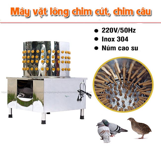 thiết kế máy vặt lông chim cút