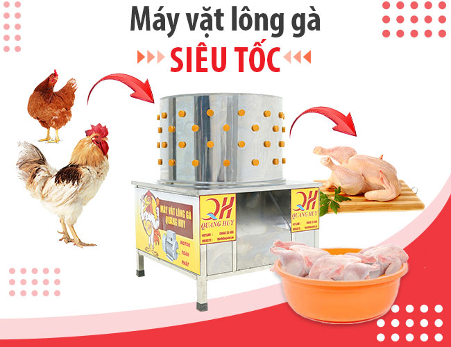 Máy vặt lông gà cho thành phẩm chất lượng