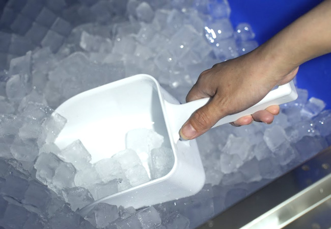 Máy làm đá viên 30kg