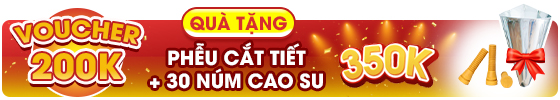 Quà tặng kèm trị giá